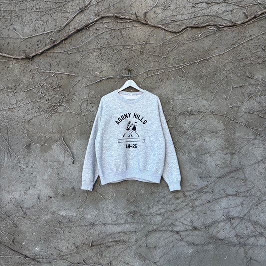 CAPSULE 2 - 01